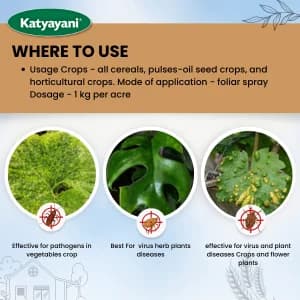 Katyayani Manganese Sulphate 30.5% Essential Micronutrient Fertilizer For Optimal Plant Nutrition and Growth - Image 5