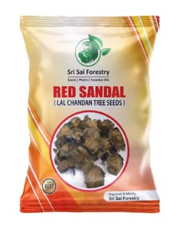 Sri Sai Forestry Red Sandalwood Tree Seeds, Lal Chandan Plant Seed, Santalum Album 1