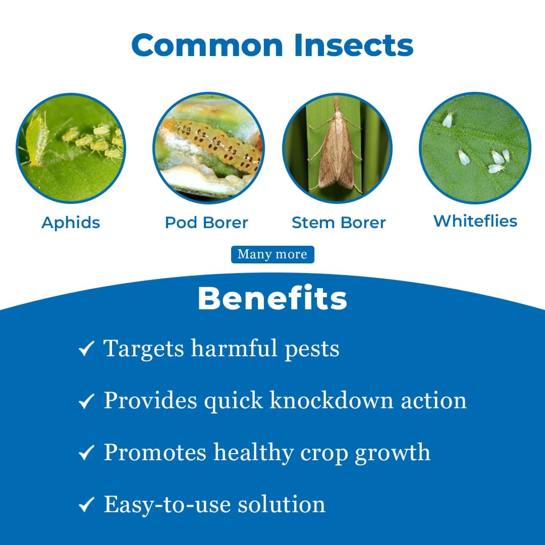 IIL Lethal 20% EC - Chlorpyriphos 20% EC Insecticide, Sucking and Soil Pests Controller, Control Over All Over Sucking, Biting - Image 3