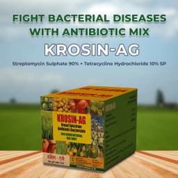 Krishi Rasayan Krosin Streptomycin Sulphate 90 + Tetracycline Hydrochloride 10 SP 2