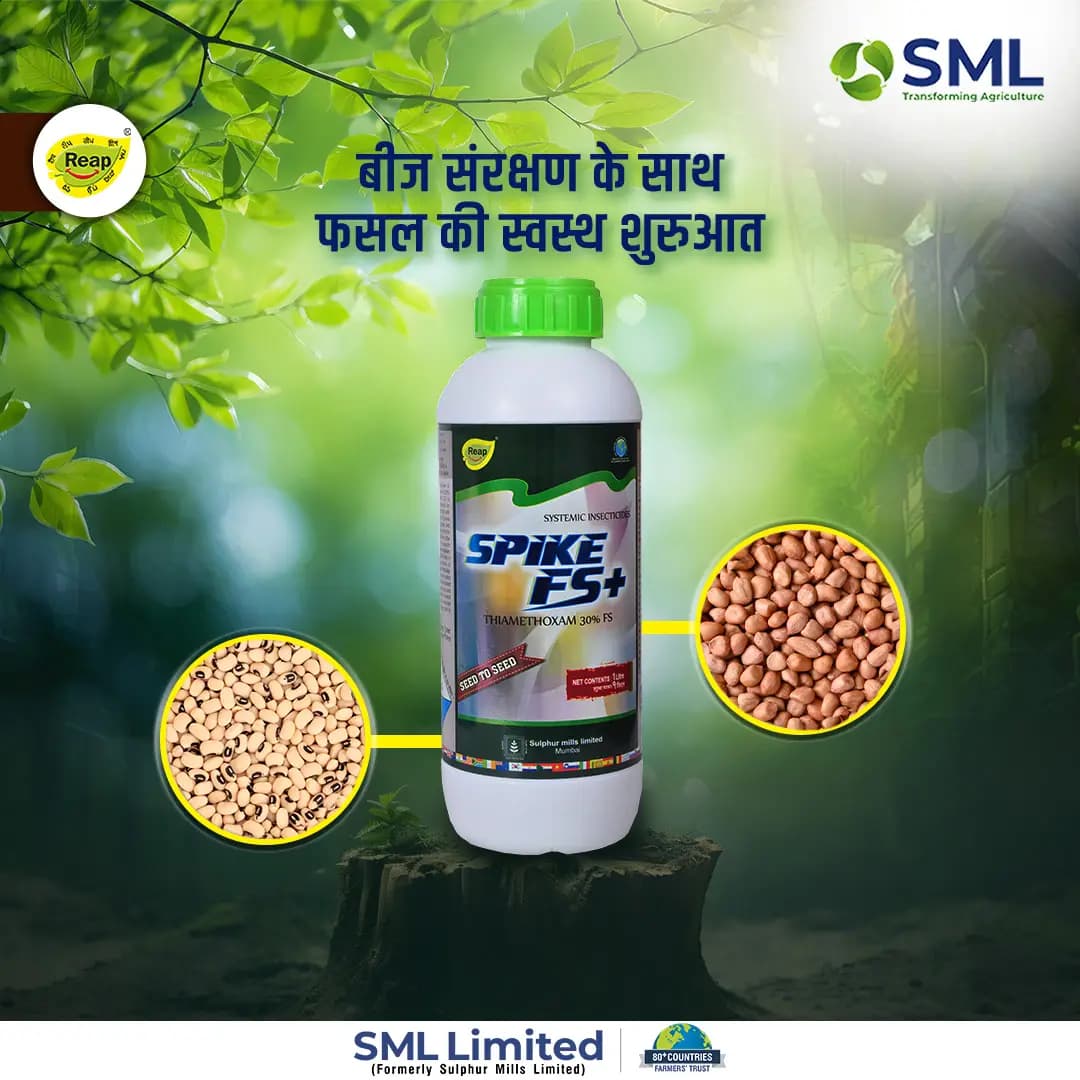 SML SPIKE FS+ Thiamethoxam 30% FS Insecticide, Seed Treatment For Soil Insects And Sucking Pests Control In Crops - Image 3