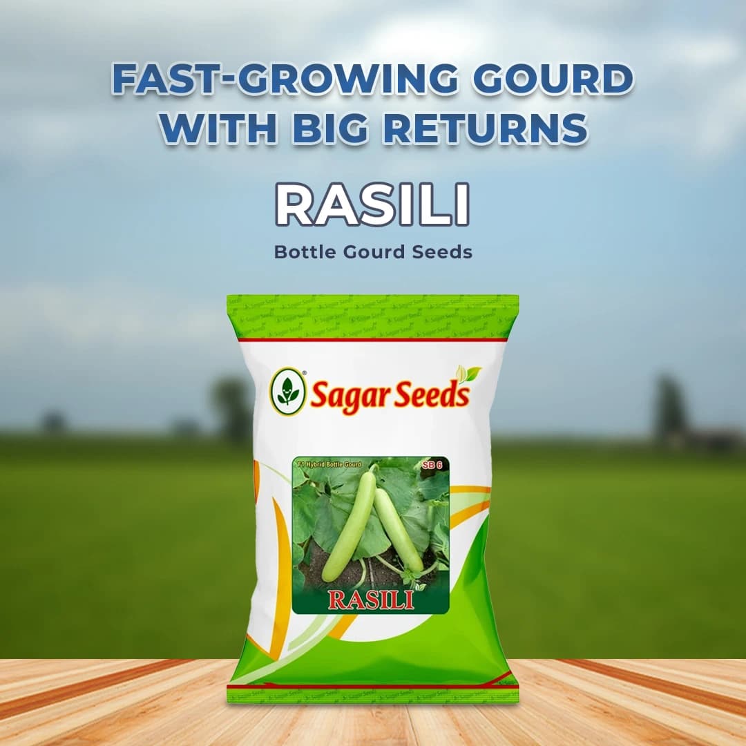 Sagar Rasili F1 Hybrid Bottle Gourd Seeds, High Yield, Dark Green, Suitable For Both Kharif and Zaid Seasons - Image 2