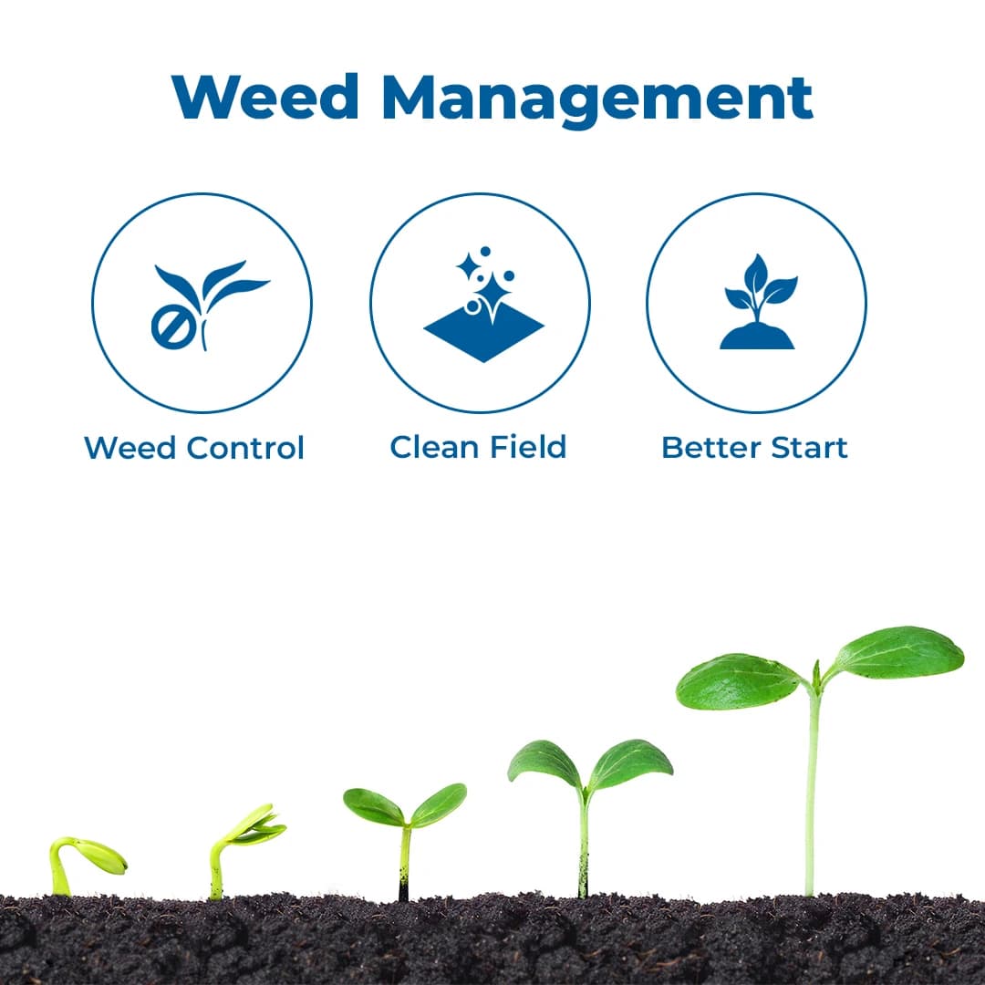 Exylon Orion Herbicide - Oxyfluorfen 23.5% EC - Image 3