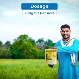 Tata Rallis Ralligold Mycorrhizal Biofertilizer, Improves The Quality And Quantity Of The Crop Yield 5