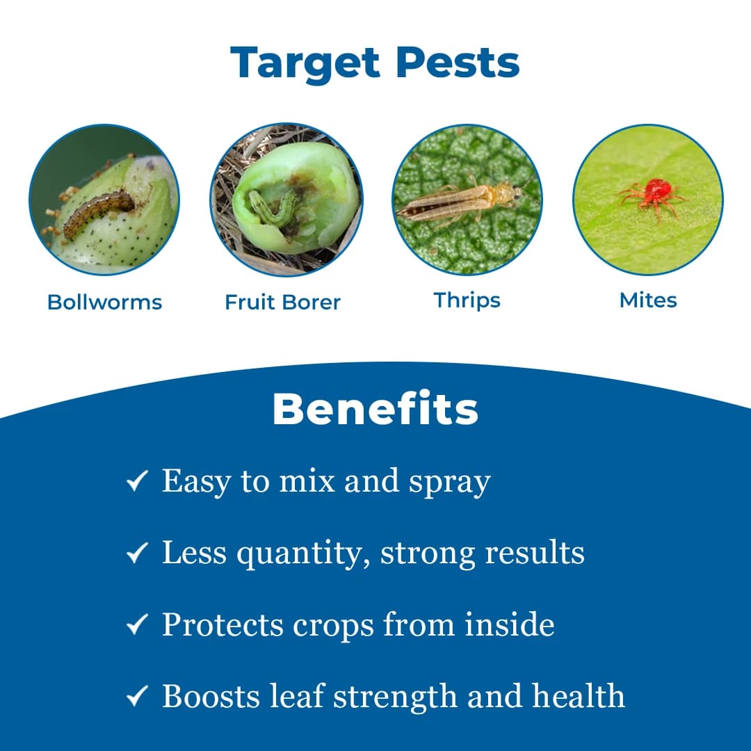 Dhanuka EM-1 Emamectin Benzoate 5% SG Insecticide, Contact And Stomach, Effective Control Caterpillars In Crops - Image 3