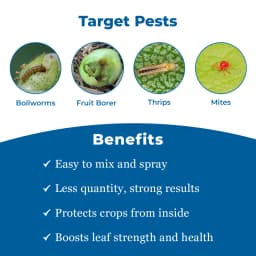 Dhanuka EM-1 Emamectin Benzoate 5% SG Insecticide, Contact And Stomach, Effective Control Caterpillars In Crops 3