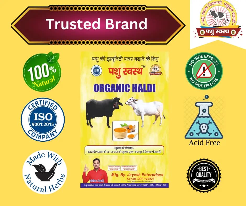 PASHU SVASTH ORGANIC HALDI, Animal Health Supplements, A Natural Shield for Animals, Increase Immunity, Fighting Cancer And More - Image 6