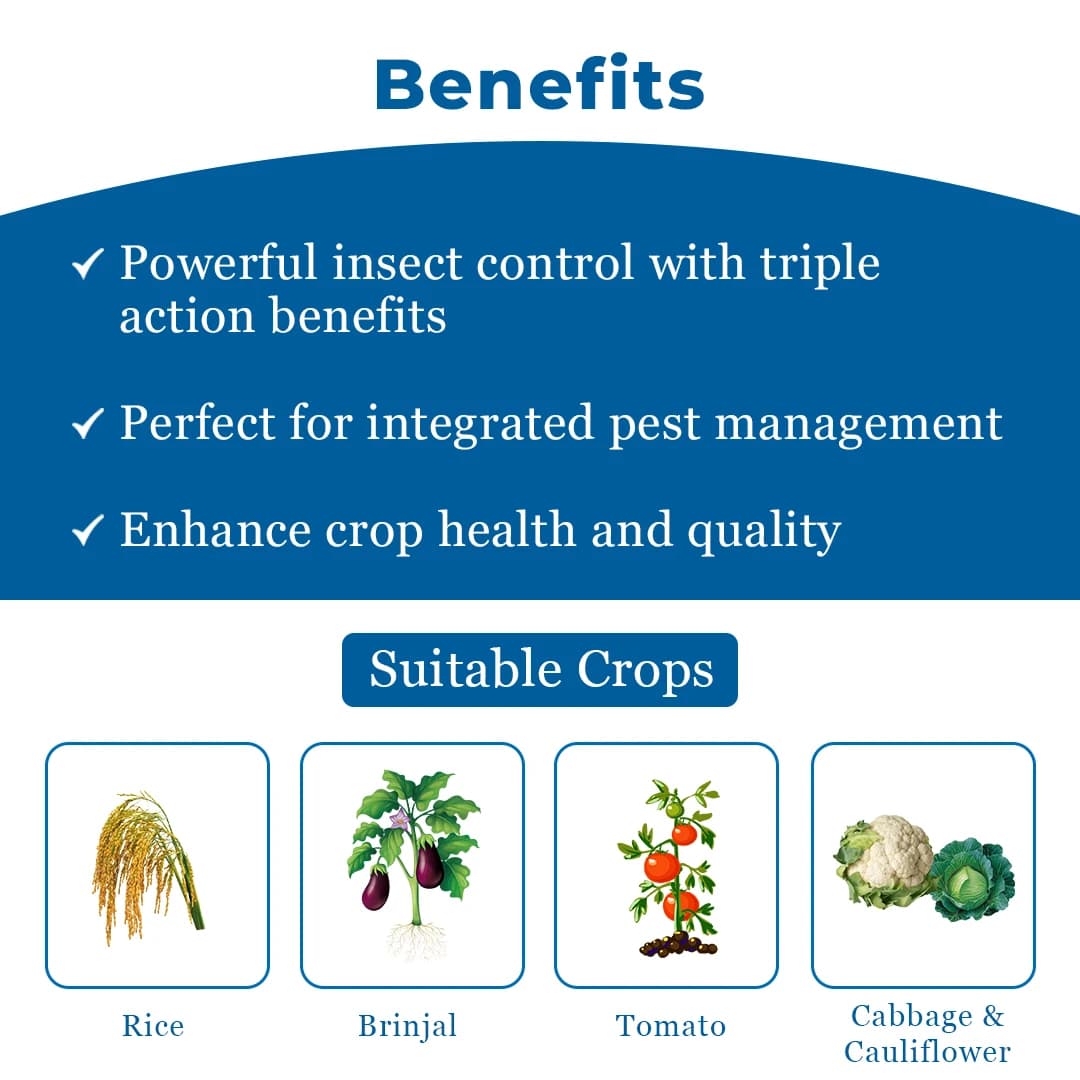 Cruzep 50 - Cartap Hydrochloride 50% SP Insecticide, Effective in Controlling All Stages of Insects - Image 3