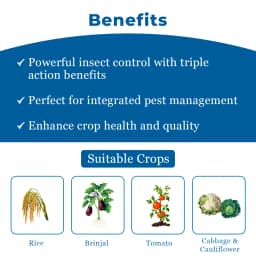 Cruzep 50 - Cartap Hydrochloride 50% SP Insecticide, Effective in Controlling All Stages of Insects 3