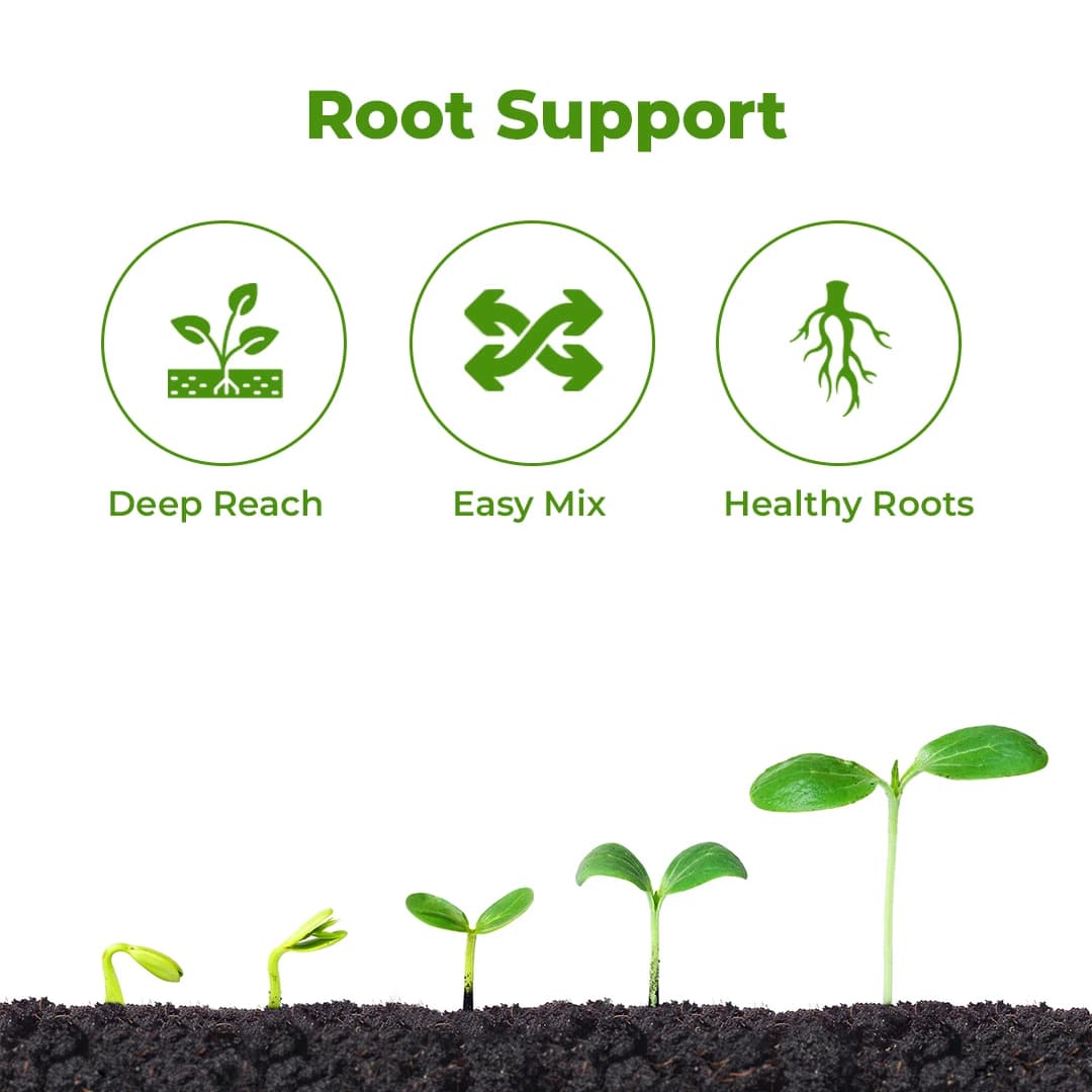 EBS VAM Bio Fertilizer (Vesicular Arbuscular Mycorrhizal), Use To Improve Soil Fertility In Your Farm & Garden - Image 3