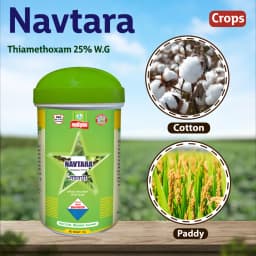 Multiplex Navtara Thiamethoxam 25% WG, Broad-Spectrum Systemic Insecticide, Use For Paddy, Cotton And Vegetables 2