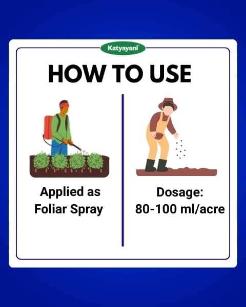 Katyayani Chloda Chlorantraniliprole 9.3% + Lambda Cyhalothrin 4.6% ZC Insecticide, for Effective Pest Control for Crops - Image 5