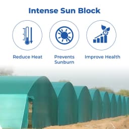 Anil Packaging Garden Shade Net 50% Shade , Sun Protected, UV Stabilized Material 3