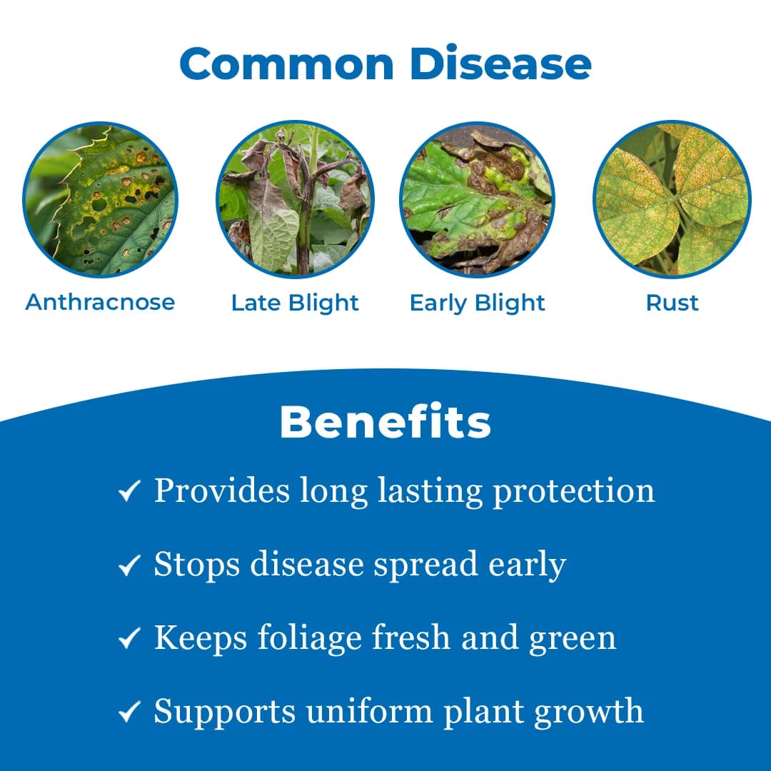 Katyayani Azozole Fungicide - Image 3