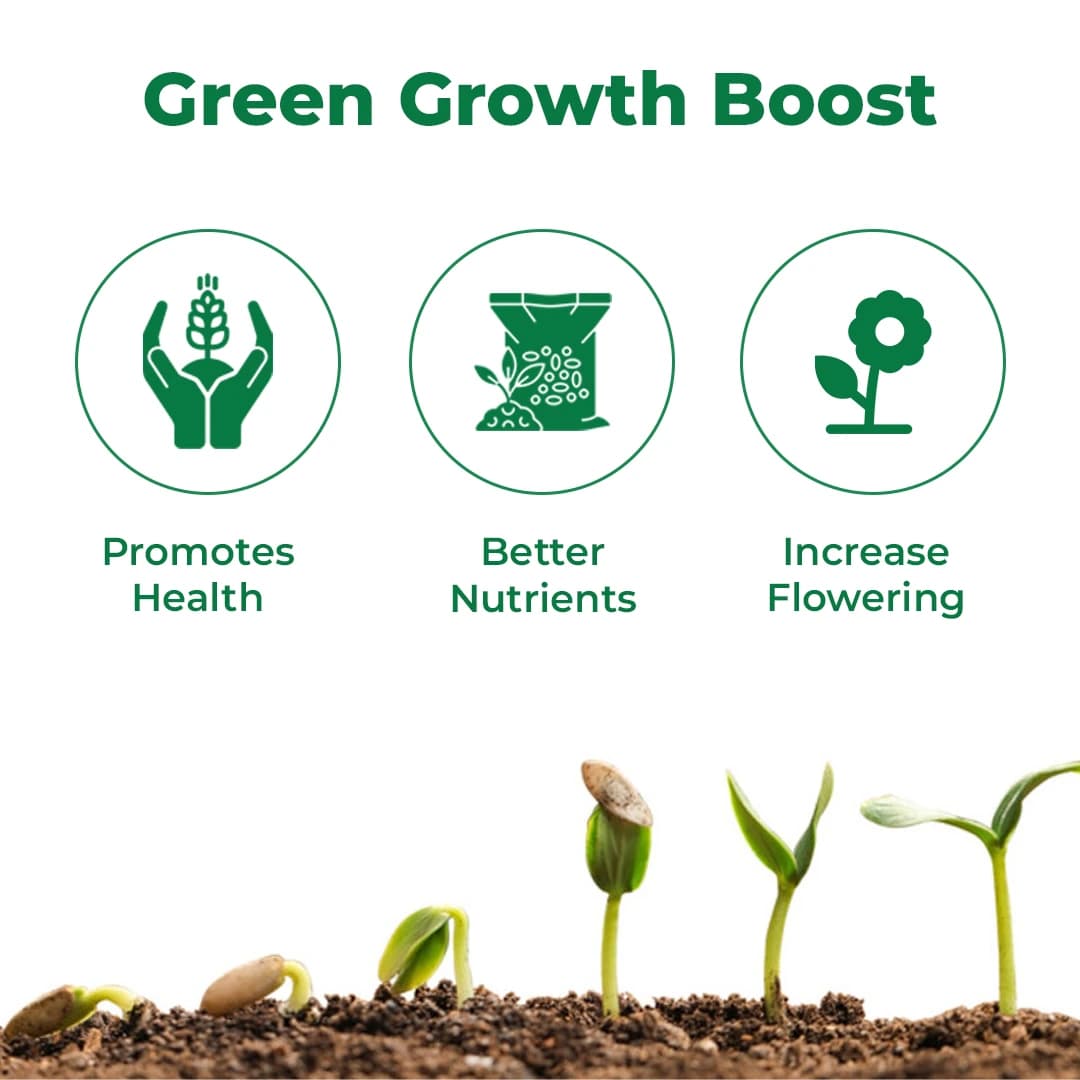 Krishi Rasayan Paushak Gold Gibberellic Acid 0.001% Plant Growth Regulator, Enhances The Yield & Increase Seed Germination. - Image 3