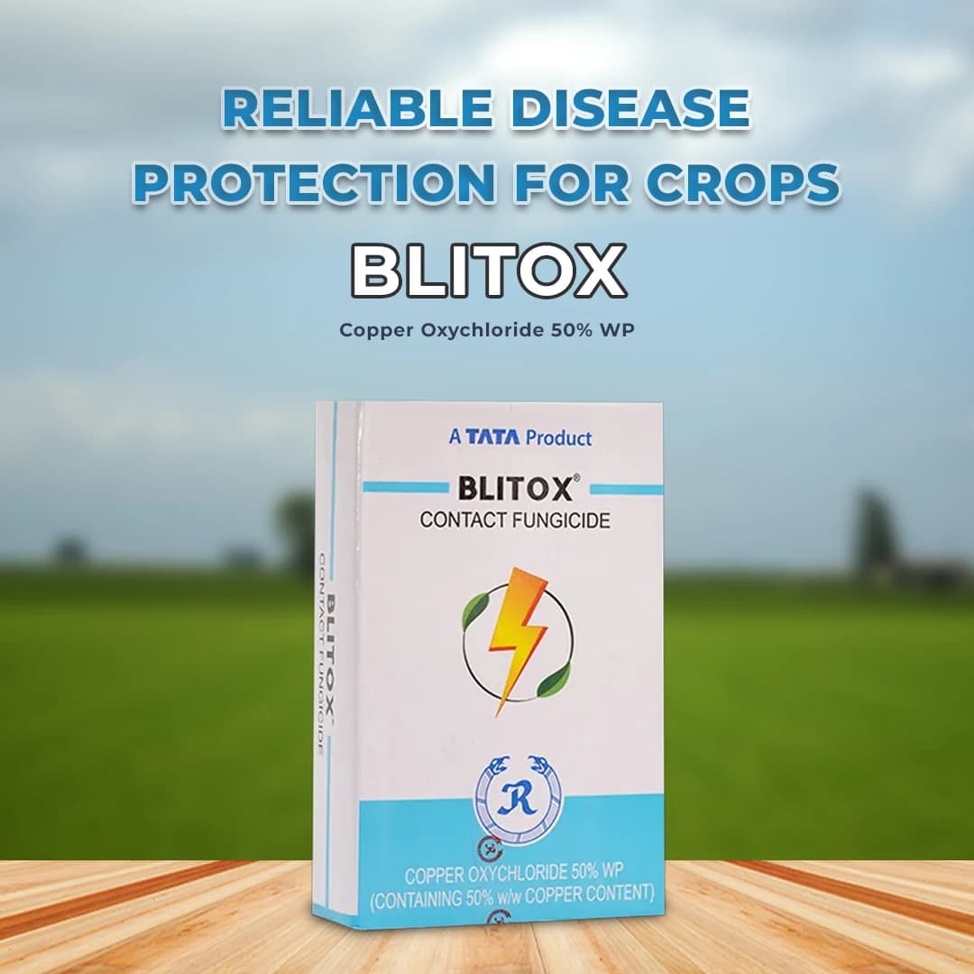Tata Blitox Fungicide - Image 2