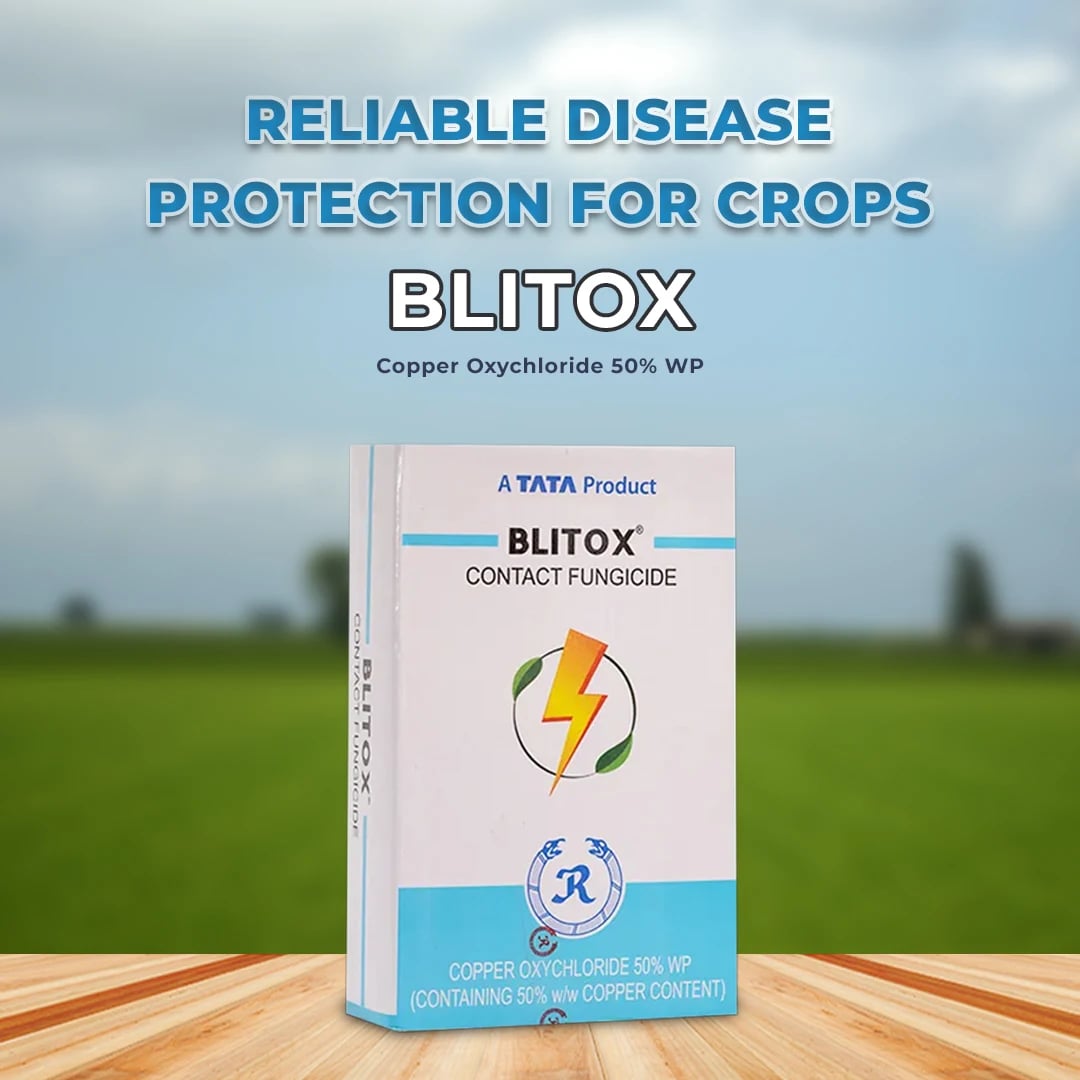 Tata Blitox Fungicide