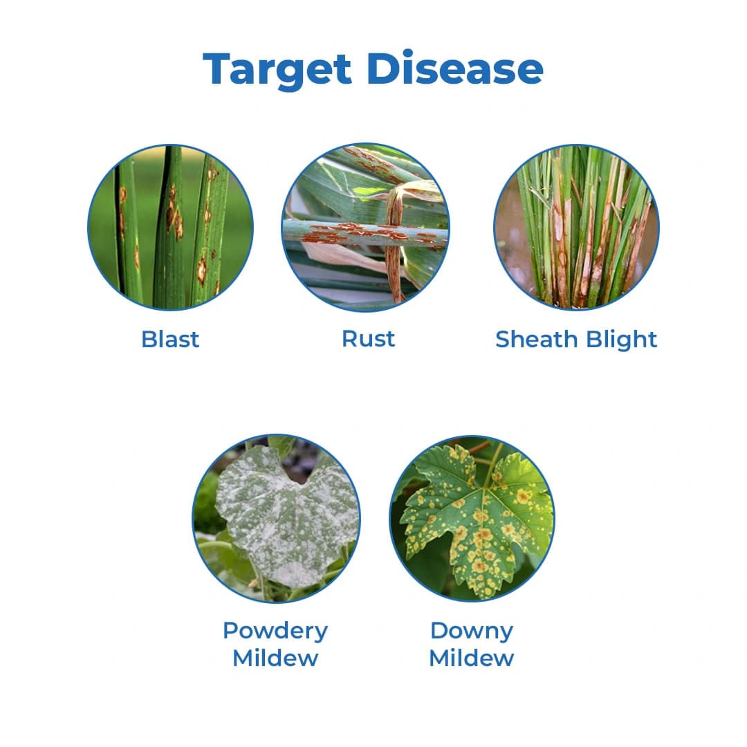 UPL SAAFILIZER Carbendazim 12% + Mancozeb 63% WP, Best Fungicide for all Fungal Problems - Image 3