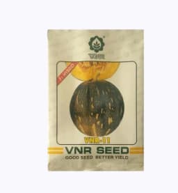 वीएनआर संकर कद्दू के बीज, उच्च उपज क्षमता और बेहतरीन भंडारण गुणवत्ता, कद्दू के बीज से सर्वोत्तम उपज। 1