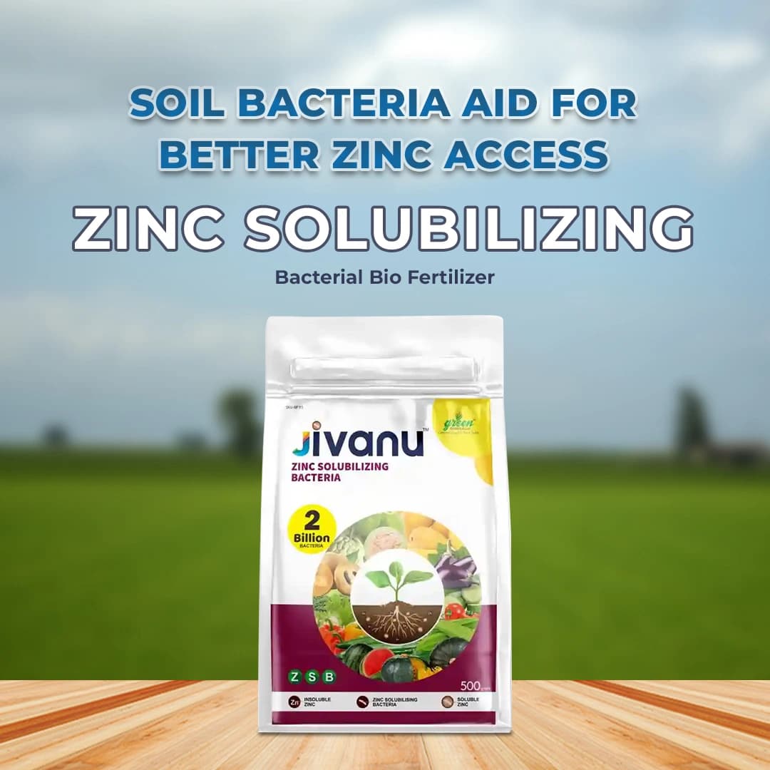 Jivanu Zinc Solubilizing Bacterial BioFertilizer (ZSB) , For All Plants and Home Garden Ecofriendly - Image 2