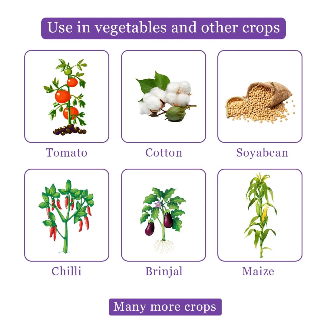 FMC Coragen Insecticide - Image 4