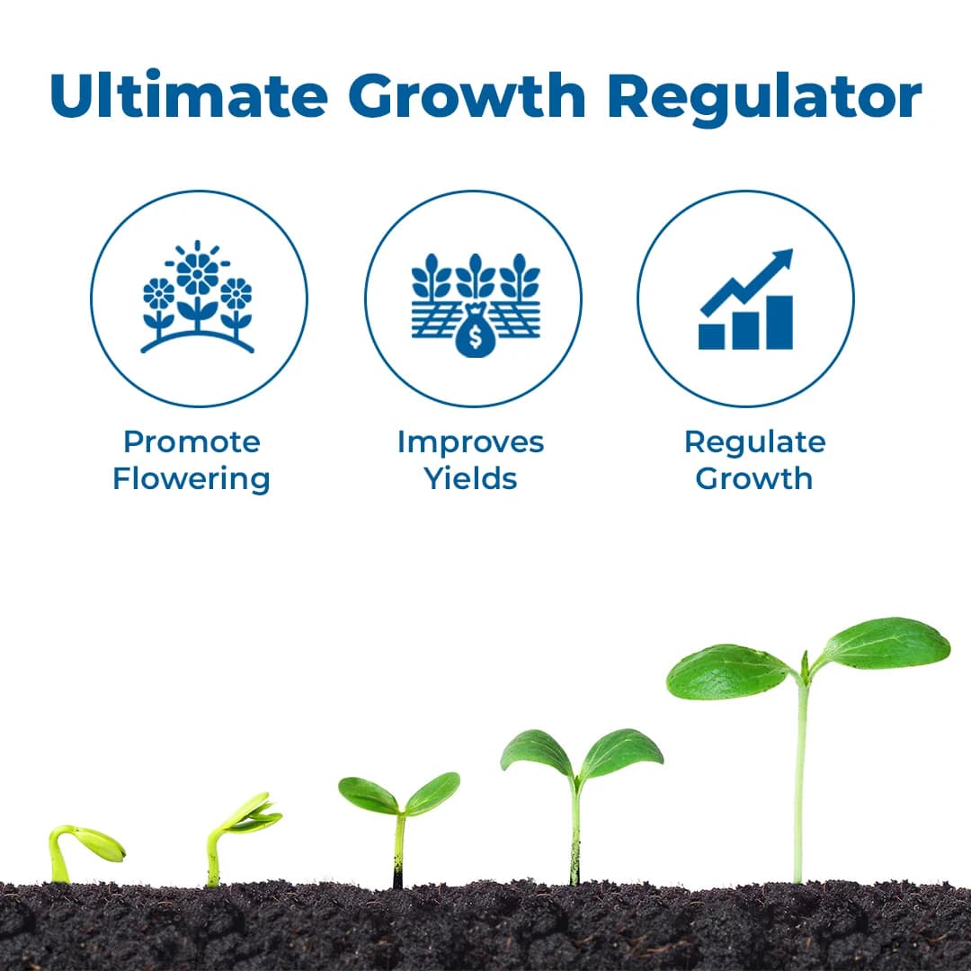 Excel Sumitomo Vidyut Paclobutrazol 40% SC, Plant Growth Promoter, For Enhancing Fruiting and Flowering - Image 3