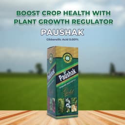 Krishi Rasayan Paushak Gold Gibberellic Acid 0.001% Plant Growth Regulator, Enhances The Yield & Increase Seed Germination. 2