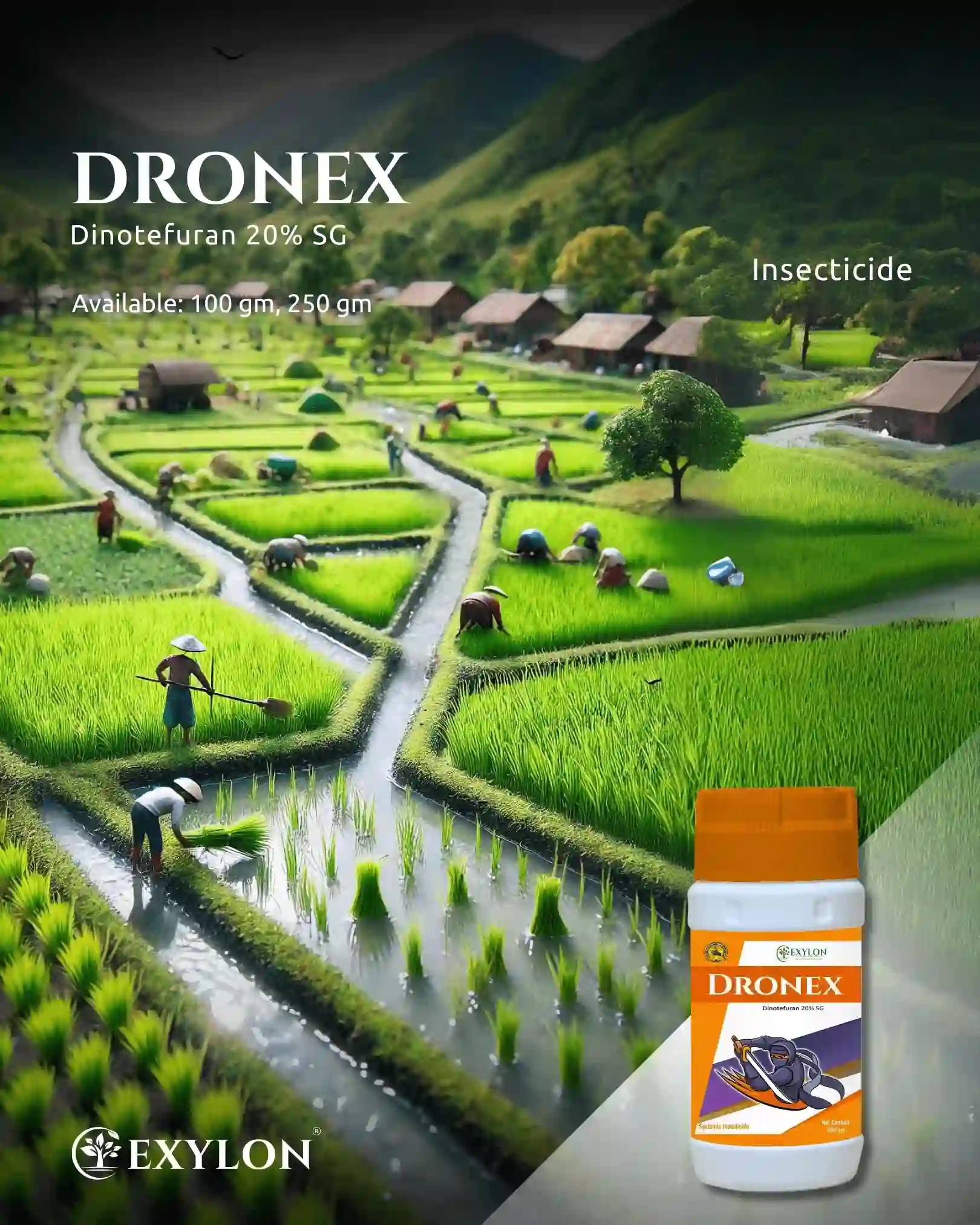 Exylon Dronex Insecticide - Dinotefuran 20% SG