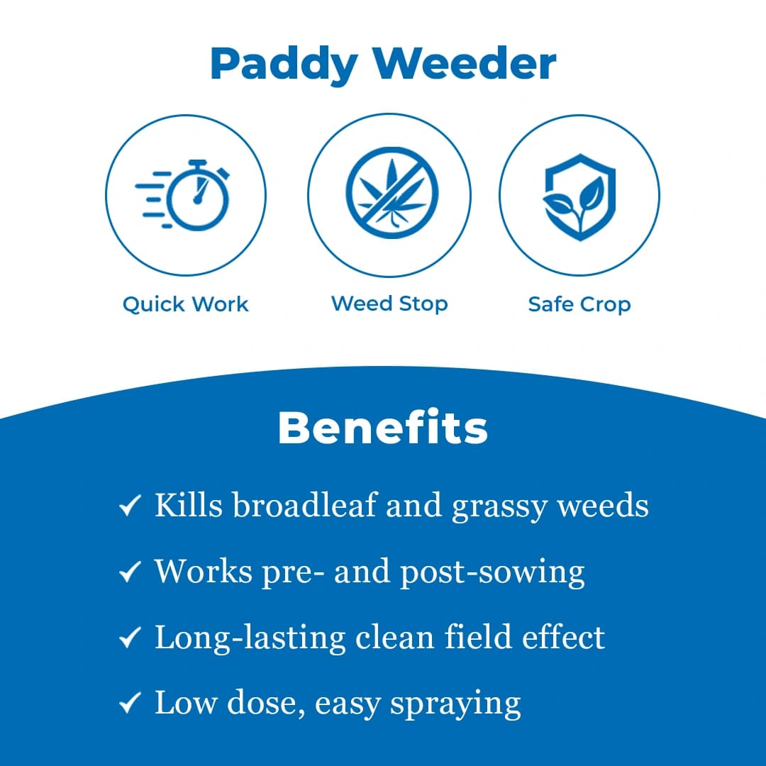 Crystal Sikosa Bensulfuron Methyl 4.8% + Pretilachlor 48% OD Herbicide, Use For Paddy - Image 3