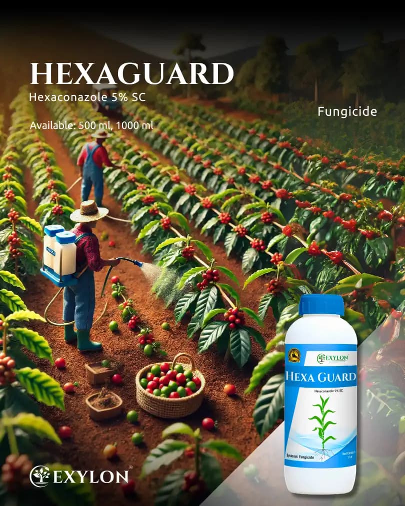 Exylon Hexaguard Hexaconazole 5% SC Fungicide, Effective For Rust And Mildew Control In Crops - Image 2