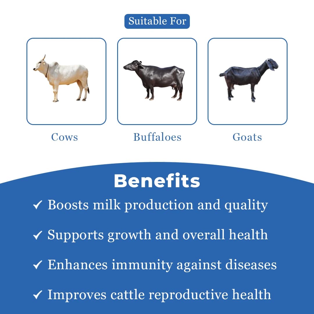 VetMantra MMC - Mineral Mixture For Higher Growth And Milk Production - Image 3