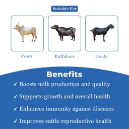 VetMantra MMC - Mineral Mixture For Higher Growth And Milk Production 3