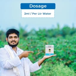 Tata Rallis Master - Mancozeb 64% WP + Metalaxyl 8%, Fungicide Effective Against Downy Mildew 5