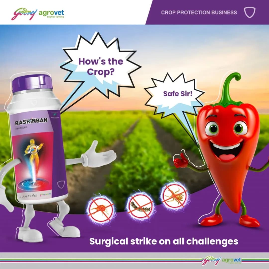Godrej Rashinban Fluxametamide 3.8% + Pyridaben 9.5% SC Insecticide, Broad Spectrum, Targeting Sucking and Chewing Pests, Effective For Chilli - Image 8