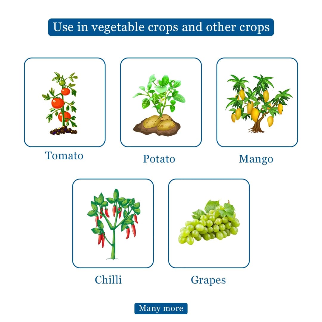 FMC Gezeko Fungicide - Image 4