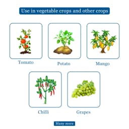 FMC Gezeko Tebuconazole 50% + Trifloxystrobin 25% WG. Broad Spectrum Systemic Fungicide 4