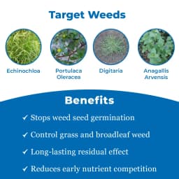 स्ट्रोम+ - पेंडिमेथालिन 30% ईसी. खरतपरवारनाशक, इचिनोक्लोआ एसपीपी, यूफोरबिया हिर्टा, अमरान्थस विरिडिस, पोर्टुलाका ओलेरासिया जैसे को नियंत्रित करता है। 3