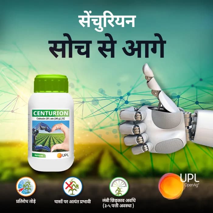 UPL Centurion EZ Clethodim 13% EC Herbicide, Post-Emergence, Selective Grass Weed Control Solution In Crops - Image 2
