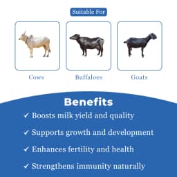 VetMantra Cal Gold - Calcium for Milk Enhancer, Vitamins Mineral Mixture, Best For Milk Enhancer 4