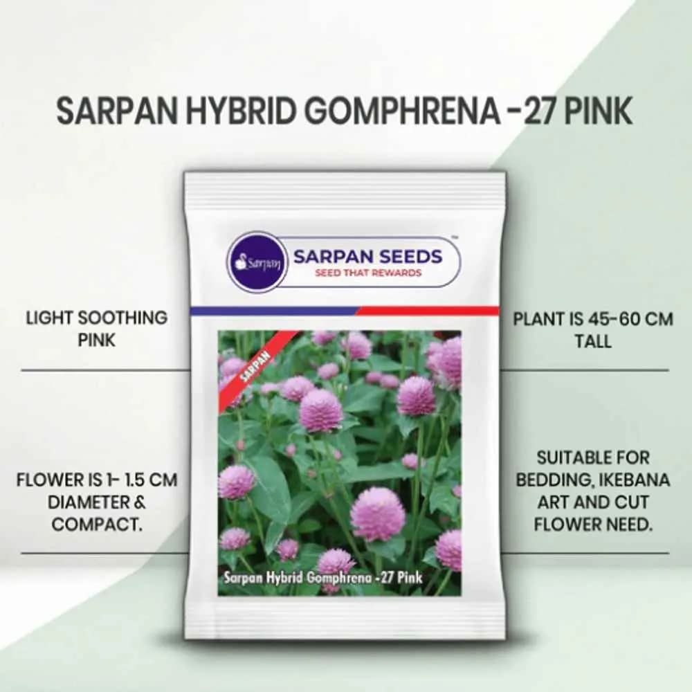 Sarpan Gomphrena-27 Pink Flower Seeds, Best In Germination, Perfect For Indian Conditions - Image 1