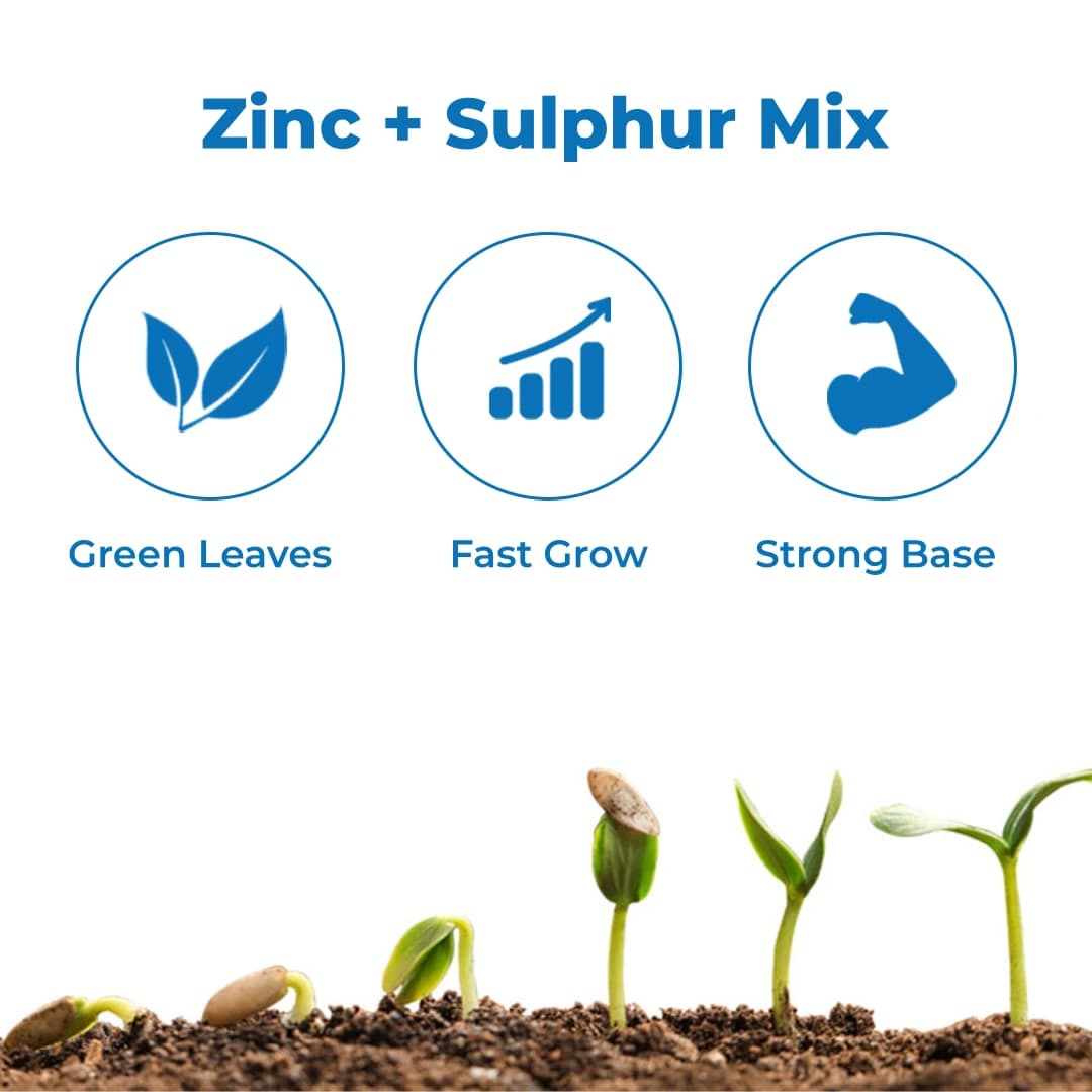 Aries Zn Sulf, Zinc 33% and Sulphur 15% Zinc Sulphate Monohydrate, Improves Flower and Fruit Setting - Image 3