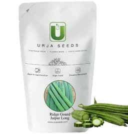 Urja Ridge Gourd Seeds, Jaipur Long, Cucurbits, Dark Green Colored Fruits 2