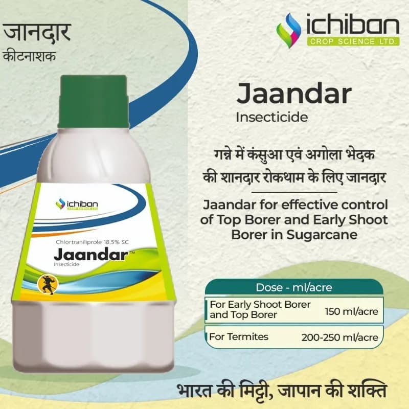 Ichiban Jaandar Chlortraniliprole 18.5% SC Insecticide, Effective For Sugarcane Pest Control - Image 2