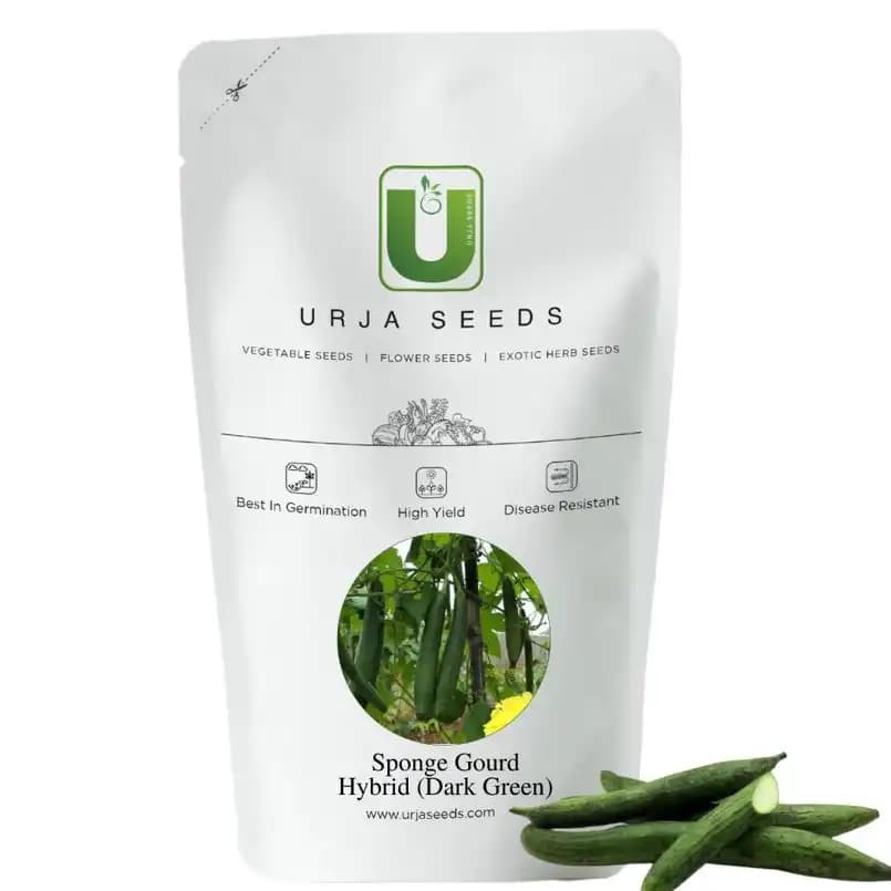 Urja F1 Hybrid US-291 Sponge Gourd Seeds, Dark Green In Color, Gilki Ke Beej, Ghiya Ke Beej, Best In Germination