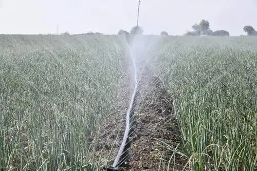 Siddhi Main Pipe to Rain Pipe Connector, Service Saddle + Connector (Cock)