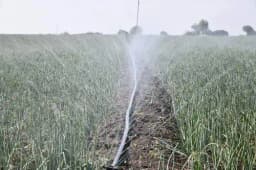 Siddhi Main Pipe to Rain Pipe Connector, Service Saddle + Connector (Cock) 1