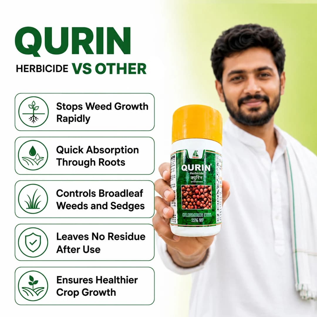 Dhanuka Qurin Herbicide - Chlorimuron Ethyl 25% WP - Image 7