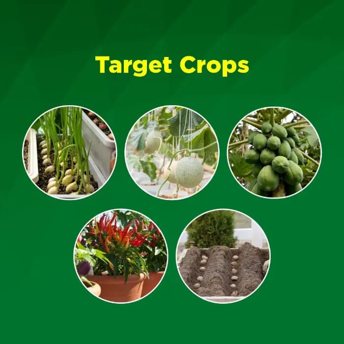 Titan Agritech Sonja Gold Seaweed Extract Liquid 30% Biostimulant, Boosts Root System And Nutrient Mobility - Image 7