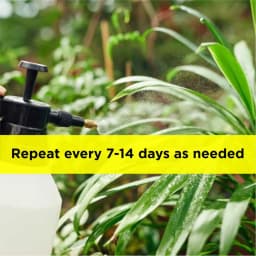 Titan Agritech Niimpa 10000 Azadirachtin 1% Biopesticide, 10000 PPM, Broad-Spectrum And Natural Pest Management 4