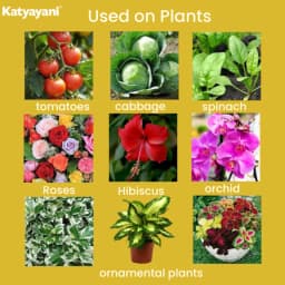 कात्यायनी ट्रिपल अटैक जैव कीटनाशक, वर्टिसिलियम लेकेनी, ब्योवेरिया बैसियाना और मेटारहिजियम एनीसोप्लिए का मिश्रण 6